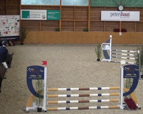 Reitturnier Xanten - Reitanlage Miss 2020