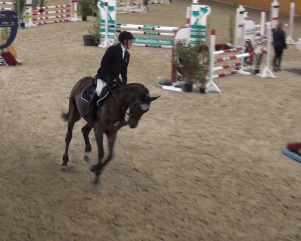 Reitturnier Xanten - Reitanlage Miss 2020