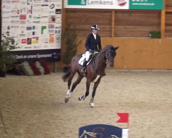 Reitturnier Xanten - Reitanlage Miss 2020