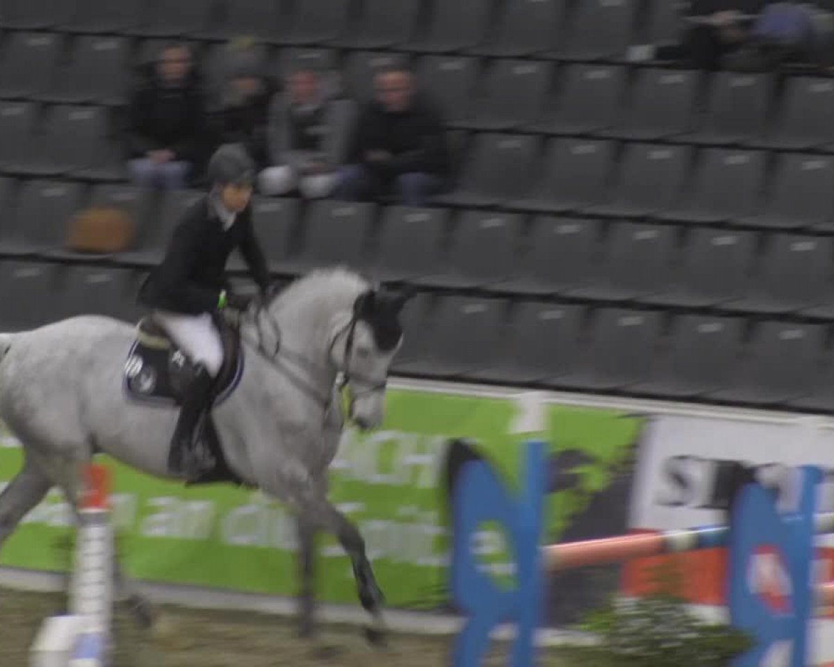 Springpferd Celentano 34 (unbekannt, 2002)