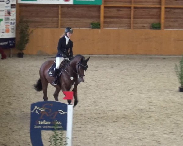 Reitturnier Xanten - Reitanlage Miss 2020