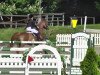 jumper Cavolino (Hanoverian, 2005, from Chasseur I)