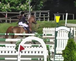 jumper Cavolino (Hanoverian, 2005, from Chasseur I)