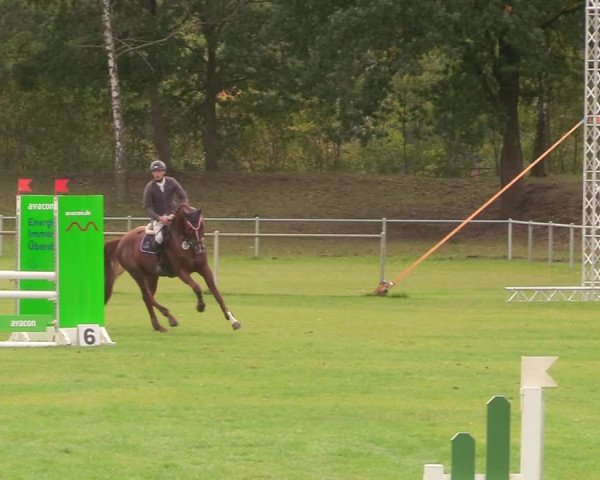Reitturnier Gardelegen 2020