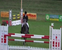 jumper Chaco 34 (Oldenburg show jumper, 2007, from Chacco-Blue)