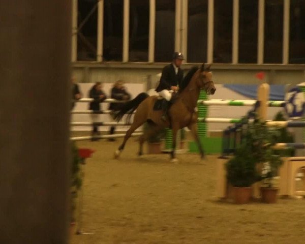 jumper Brussel (KWPN (Royal Dutch Sporthorse), 2006)