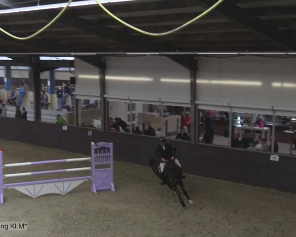Reitturnier Legden 2020