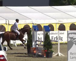 horse Cantaya 2 (Hanoverian, 2009, from Chasseur I)