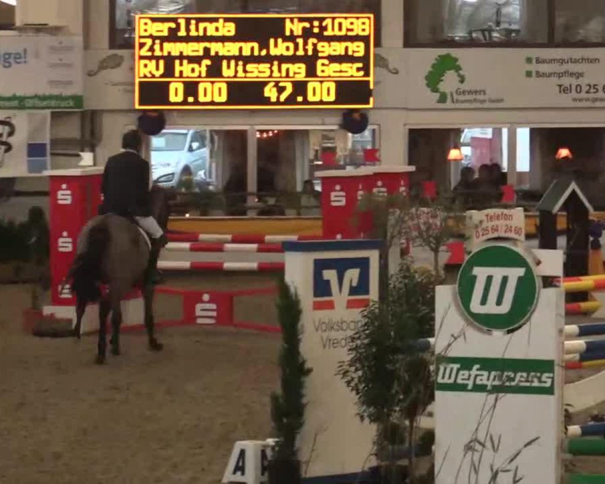 Springpferd Belinda II (Holsteiner, 2009, von Corland)