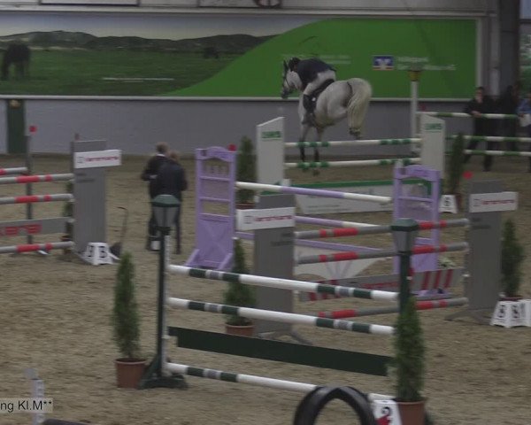 Reitturnier Legden 2020