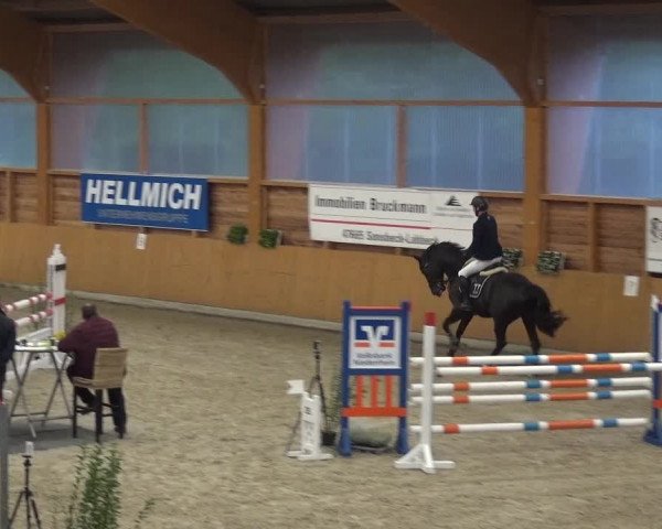 Reitturnier Xanten - Reitanlage Miss 2020