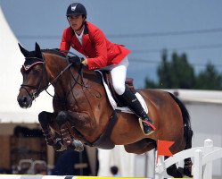 jumper Hh Carlos Z (Zangersheide riding horse, 2002, from Chellano Z)