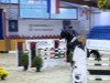 jumper Nindoxo (Oldenburg show jumper, 2008, from Nintender)