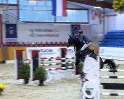 jumper Nindoxo (Oldenburg show jumper, 2008, from Nintender)