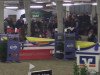 jumper Sunny Tjecco (Hessian Warmblood, 2006, from Toronto)