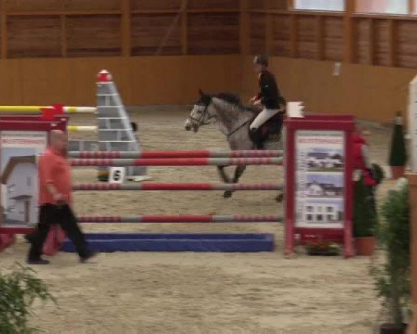 jumper Campari (Holsteiner, 2008, from Colman)