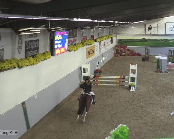 Reitturnier Legden 2020
