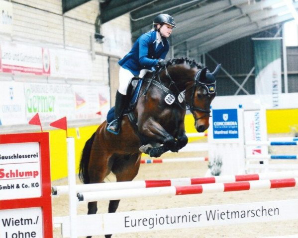 jumper Choupo - Moting (Oldenburg show jumper, 2010, from Check In 2)