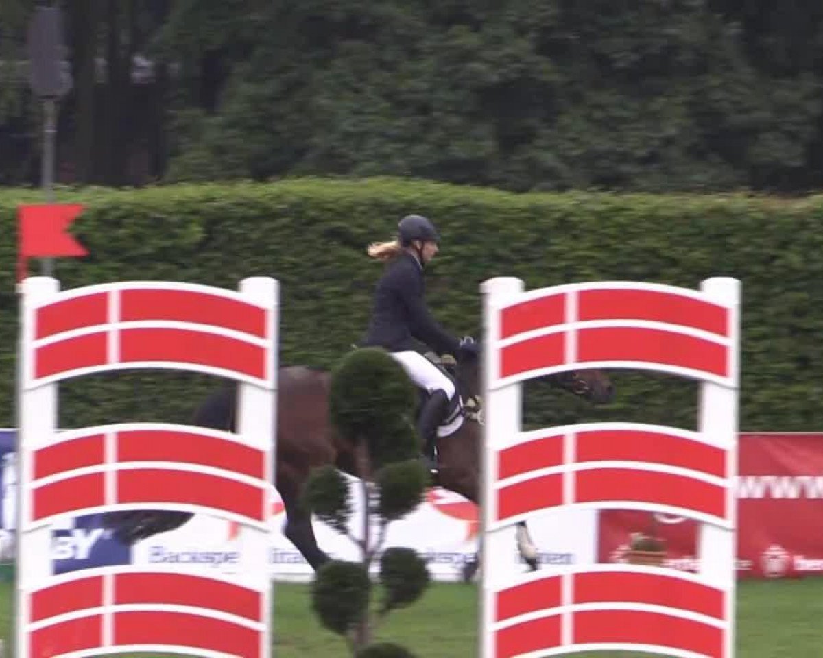 Zuchtstute Belina L (Deutsches Reitpony, 2008, von Erfttal Duncan)