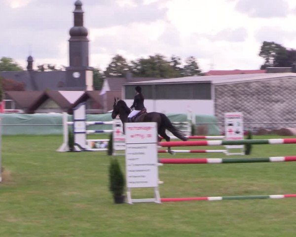 Reitturnier Altmittweida 2021