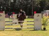 jumper Rahmannshof Dela (Belgian Warmblood, 2009)