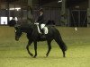 dressage horse Herzkasper (Westphalian, 2008, from Herzensdieb)