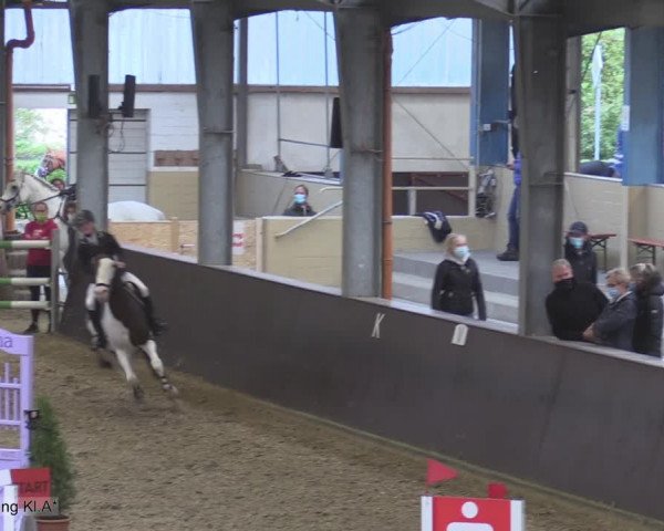 Reitturnier Legden 2020