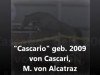 Springpferd Cascario (Holsteiner, 2009, von Cascari)