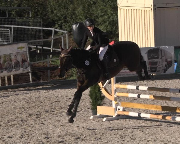 Reitturnier Worms-Pfeddersheim / Reitsportanlage Wittemer 2020