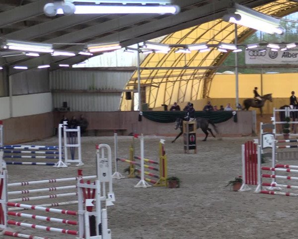 Reitturnier Wollersleben 2020