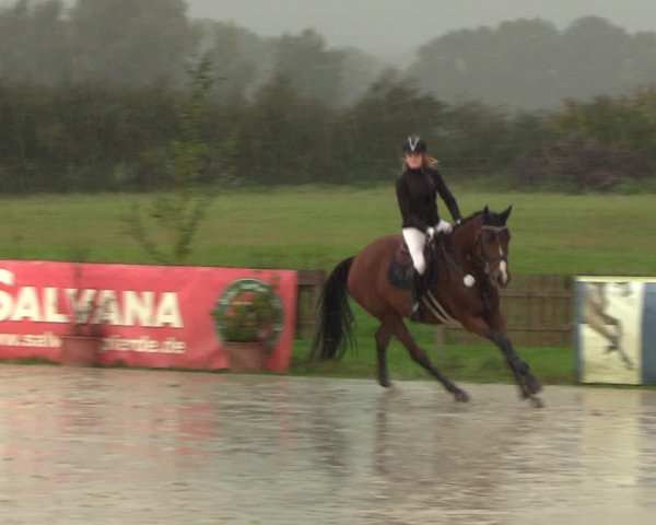 Reitturnier Schülp / Rendsburg 2020