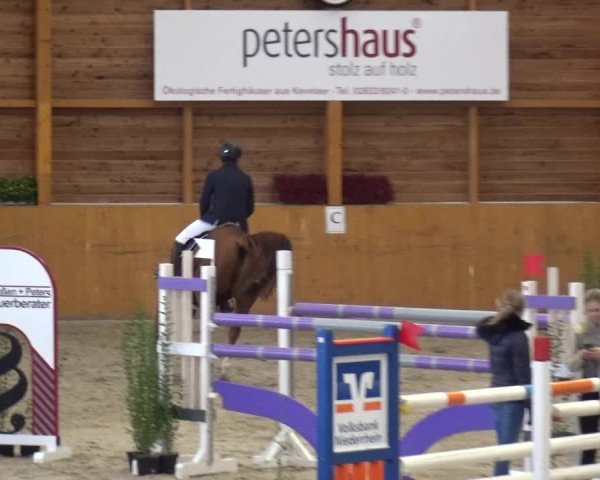 Reitturnier Xanten - Reitanlage Miss 2020