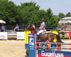 jumper For Top 2 (Hanoverian, 2007, from For Edition)