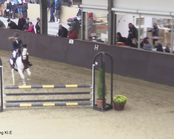 Reitturnier Legden 2020