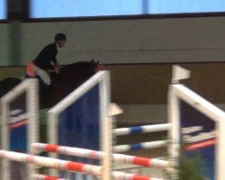 jumper Liberty 345 (Oldenburg show jumper, 2008, from Lordanos)