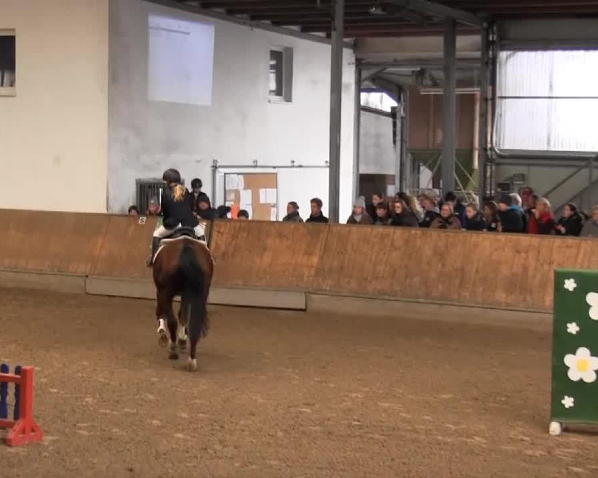 jumper Golfo (unknown, 2000)