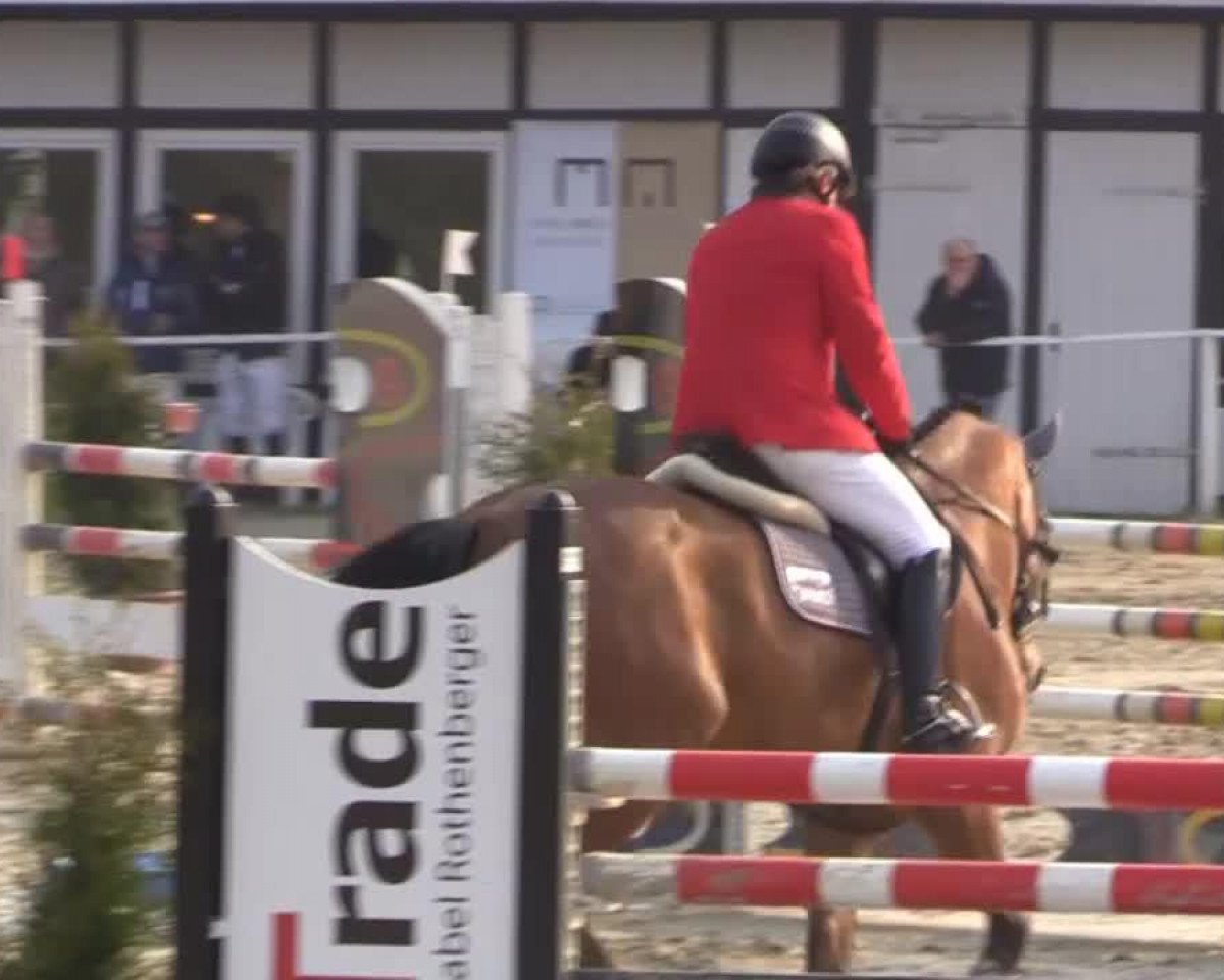 jumper Herodes van 't Nachtegalehof (Belgian Warmblood, 2007, from Cyber van Berkenbroeck)