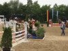 jumper Diamant de la vie (Oldenburg show jumper, 2009, from Diarado)