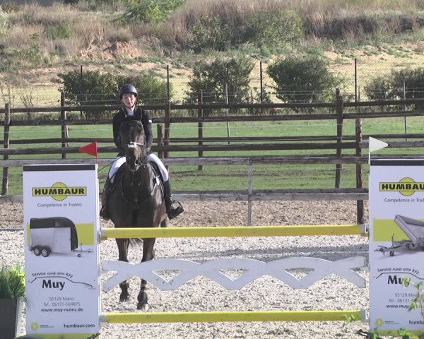 Reitturnier Worms-Pfeddersheim / Reitsportanlage Wittemer 2020