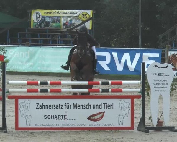 jumper Shutterfloh (KWPN (Royal Dutch Sporthorse), 2006, from Ultime Espoir)