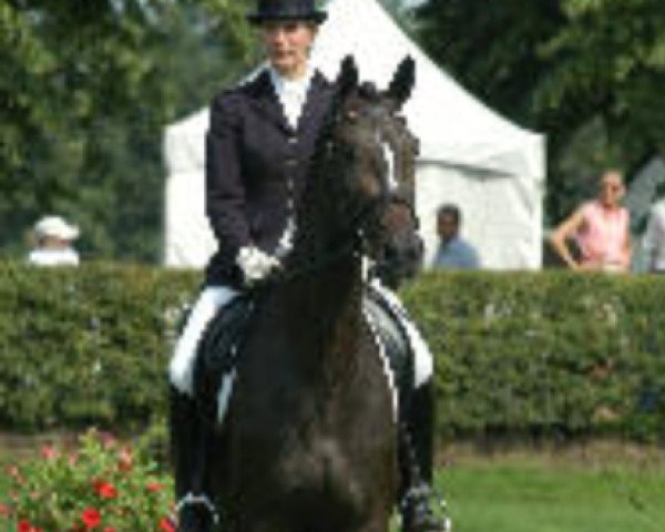 broodmare Hannah VI (Trakehner, 2001, from Freudenfest)