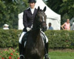 Zuchtstute Hannah VI (Trakehner, 2001, von Freudenfest)