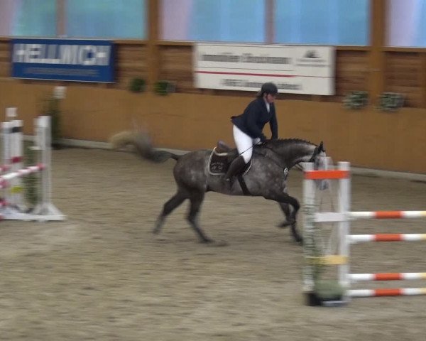 Reitturnier Xanten - Reitanlage Miss 2020
