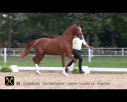 dressage horse Fürst Lauries (Hanoverian, 2011, from Fürst Romancier)