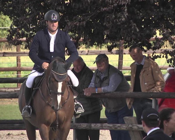 Reitturnier Worms-Pfeddersheim / Reitsportanlage Wittemer 2020