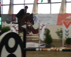 jumper Sebucho S (Polish Warmblood, 2008, from Nabucho du Serein AA)