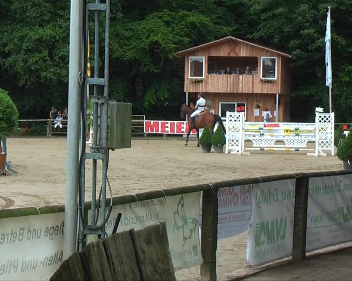 Springpferd Acolito (Westfale, 2008, von Acodetto I)
