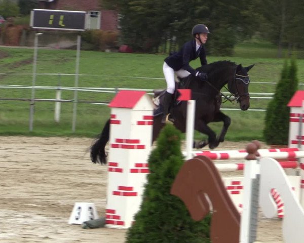 Reitturnier Altenberge 2020