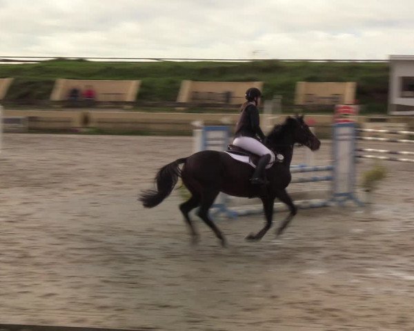 Reitturnier Schülp / Rendsburg 2020