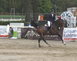 Springpferd Bolero 375 (KWPN (Niederländisches Warmblut), 2006, von Vittorio)